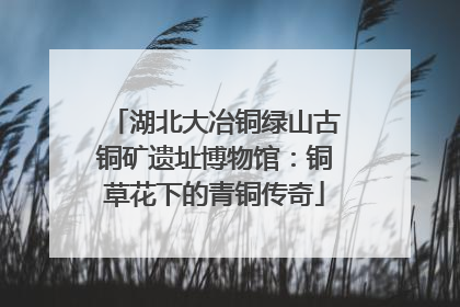 湖北大冶铜绿山古铜矿遗址博物馆：铜草花下的青铜传奇