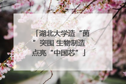 湖北大学造“菌”突围 生物制造点亮“中国芯”