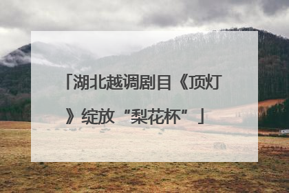 湖北越调剧目《顶灯》绽放“梨花杯”