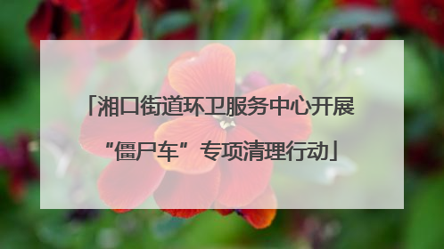 湘口街道环卫服务中心开展“僵尸车”专项清理行动