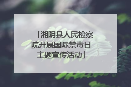 湘阴县人民检察院开展国际禁毒日主题宣传活动