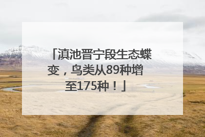 滇池晋宁段生态蝶变，鸟类从89种增至175种！