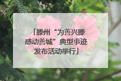 滕州“为善兴滕 感动善城”典型事迹发布活动举行