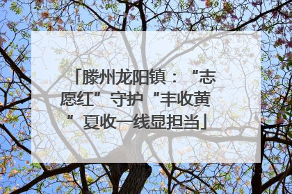 滕州龙阳镇：“志愿红”守护“丰收黄”夏收一线显担当