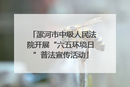 漯河市中级人民法院开展“六五环境日”普法宣传活动