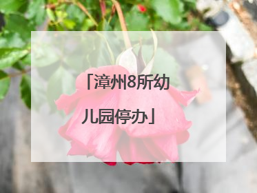 漳州8所幼儿园停办