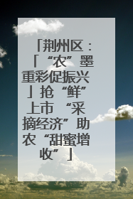 荆州区：「“农”墨重彩促振兴」抢“鲜”上市 “采摘经济”助农“甜蜜增收”
