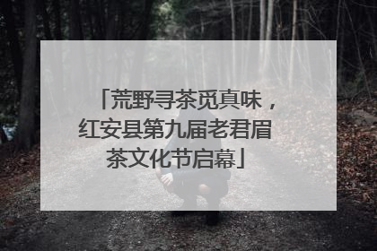 荒野寻茶觅真味，红安县第九届老君眉茶文化节启幕
