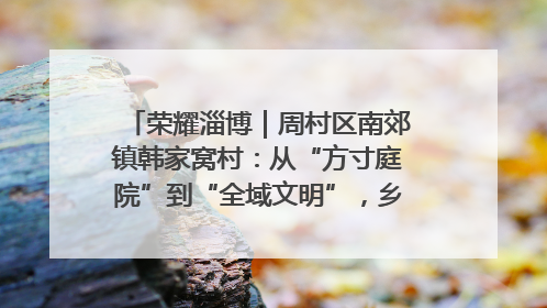 荣耀淄博｜周村区南郊镇韩家窝村：从“方寸庭院”到“全域文明”，乡村振兴的“美学革命”