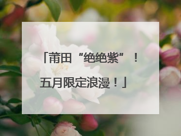 莆田“绝绝紫”！五月限定浪漫！