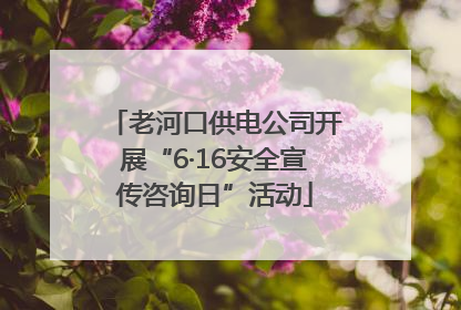 老河口供电公司开展“6·16安全宣传咨询日”活动