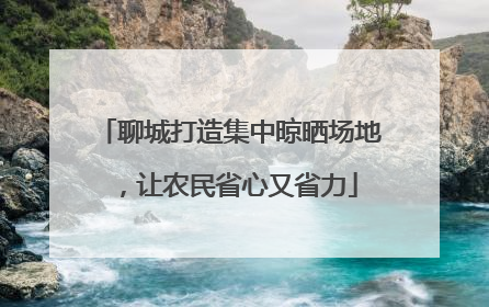 聊城打造集中晾晒场地，让农民省心又省力
