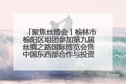 聚焦丝博会丨榆林市榆阳区组团参加第九届丝绸之路国际博览会暨中国东西部合作与投资贸易洽谈会