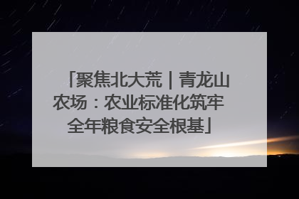 聚焦北大荒｜青龙山农场：农业标准化筑牢全年粮食安全根基