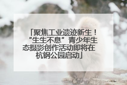 聚焦工业遗迹新生！“生生不息”青少年生态摄影创作活动即将在杭钢公园启动