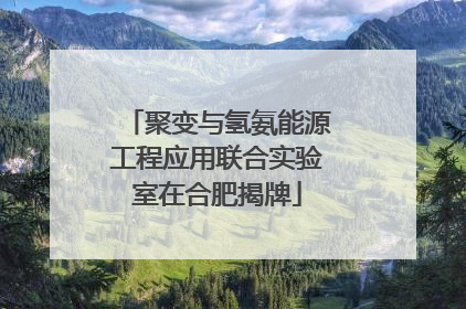 聚变与氢氨能源工程应用联合实验室在合肥揭牌
