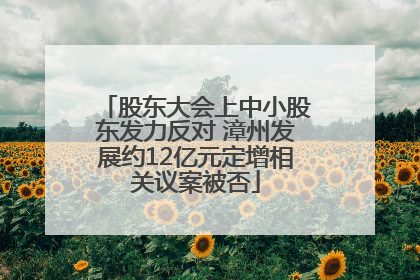 股东大会上中小股东发力反对 漳州发展约12亿元定增相关议案被否