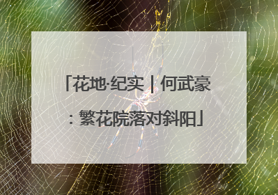 花地·纪实｜何武豪：繁花院落对斜阳