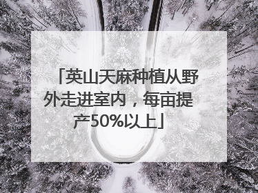 英山天麻种植从野外走进室内，每亩提产50%以上