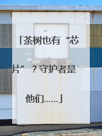 茶树也有“芯片”？守护者是他们……