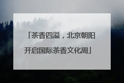茶香四溢，北京朝阳开启国际茶香文化周