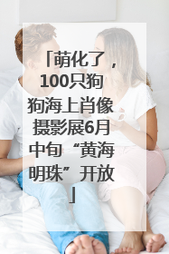 萌化了，100只狗狗海上肖像摄影展6月中旬“黄海明珠”开放