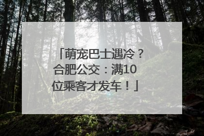 萌宠巴士遇冷？合肥公交：满10位乘客才发车！