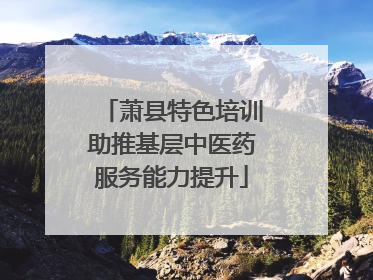 萧县特色培训助推基层中医药服务能力提升
