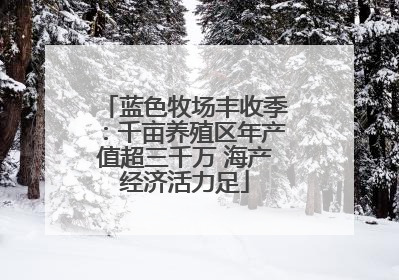 蓝色牧场丰收季：千亩养殖区年产值超三千万 海产经济活力足