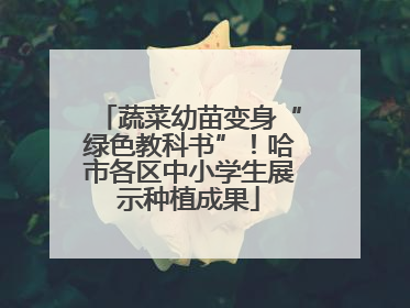 蔬菜幼苗变身“绿色教科书”！哈市各区中小学生展示种植成果