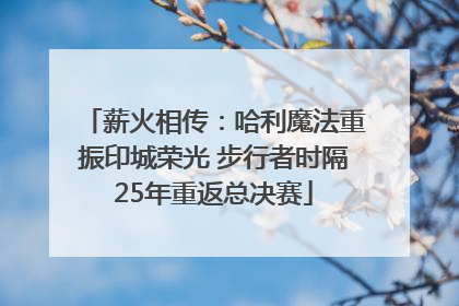 薪火相传：哈利魔法重振印城荣光 步行者时隔25年重返总决赛