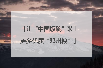 让“中国饭碗”装上更多优质“邓州粮”