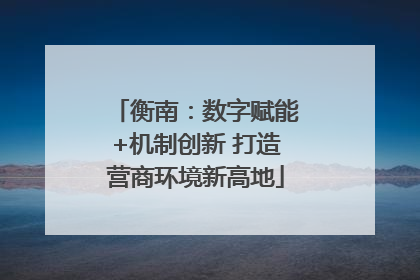 衡南：数字赋能+机制创新 打造营商环境新高地