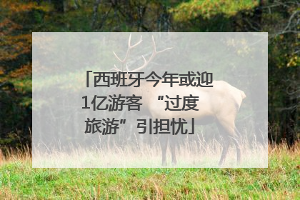 西班牙今年或迎1亿游客 “过度旅游”引担忧