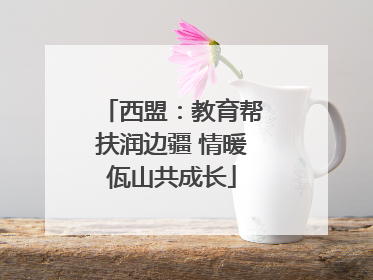 西盟：教育帮扶润边疆 情暖佤山共成长