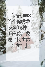 西南地区首个鸭嘴龙类新属种！重庆黔江发现“长生黔江龙”