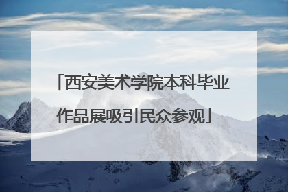 西安美术学院本科毕业作品展吸引民众参观