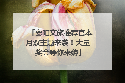 襄阳文旅推荐官本月双主题来袭！大量奖金等你来薅