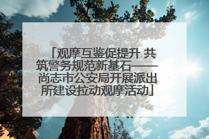 观摩互鉴促提升 共筑警务规范新基石——尚志市公安局开展派出所建设拉动观摩活动