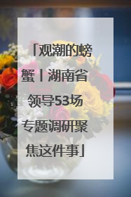 观潮的螃蟹丨湖南省领导53场专题调研聚焦这件事