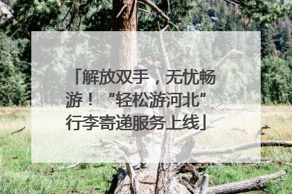 解放双手，无忧畅游！“轻松游河北”行李寄递服务上线