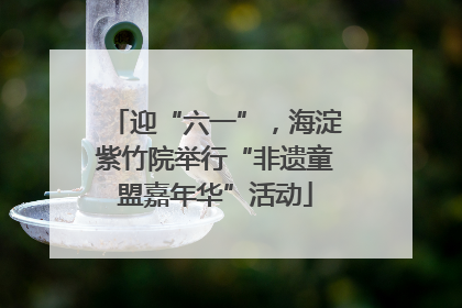 迎“六一”，海淀紫竹院举行“非遗童盟嘉年华”活动