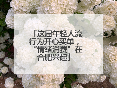 这届年轻人流行为开心买单，“情绪消费”在合肥兴起