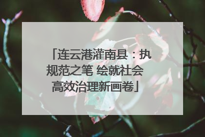 连云港灌南县：执规范之笔 绘就社会高效治理新画卷