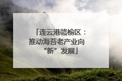 连云港赣榆区：推动海苔老产业向“新”发展
