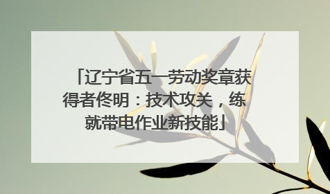 辽宁省五一劳动奖章获得者佟明：技术攻关，练就带电作业新技能