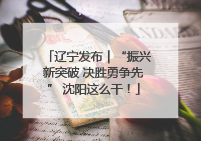 辽宁发布｜“振兴新突破 决胜勇争先” 沈阳这么干！