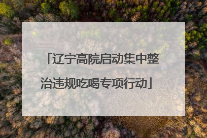 辽宁高院启动集中整治违规吃喝专项行动