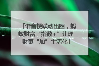 谐音梗联动出圈，蚂蚁财富“指数+”让理财更“加”生活化
