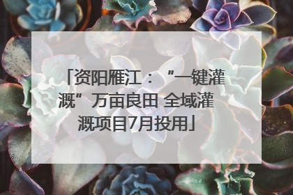 资阳雁江：“一键灌溉”万亩良田 全域灌溉项目7月投用